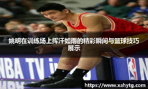 姚明在训练场上挥汗如雨的精彩瞬间与篮球技巧展示